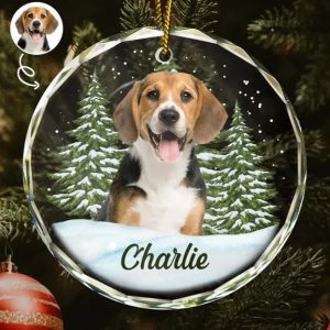 Custom Photo Pet Face - Christmas Gift For Dog Lovers, Cat Lovers, Pet Lovers, Pet Memorial - Personalized Circle Glass Ornament