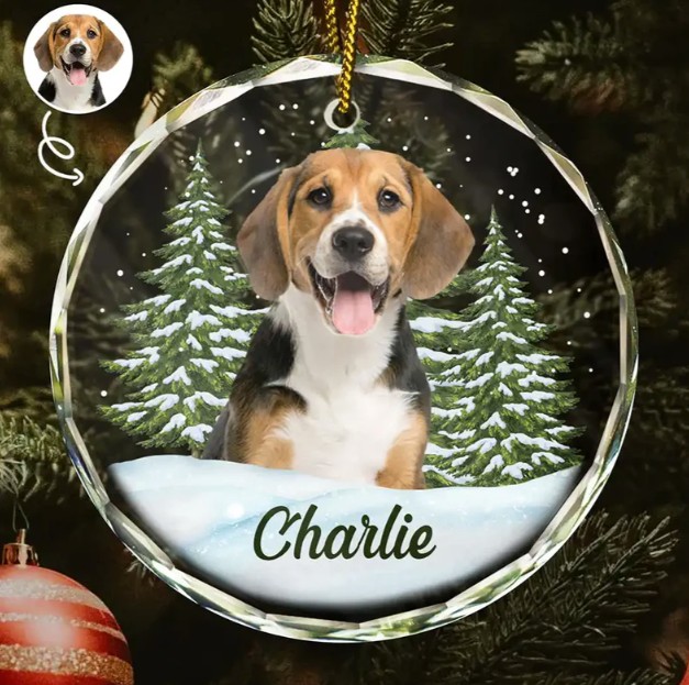 Custom Photo Pet Face - Christmas Gift For Dog Lovers, Cat Lovers, Pet Lovers, Pet Memorial - Personalized Circle Glass Ornament